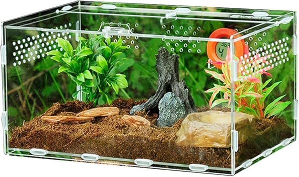 Amazon Co Jp 爬虫類ケージ 飼育ケース 飼育容器 爬虫類 両生類用飼育ケース アクリル製 無色 透明 爬虫類飼育ボックス 爬虫類 給餌箱 給餌ボックス 通気性抜群 積み重ねる 爬虫類飼育箱 トカゲ ヤモリ ハムスター 亀 トカゲ 蛇 蛙 昆虫 魚など適用 30 15cm Pet