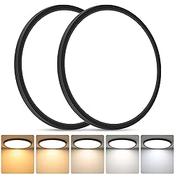 Brightever Black LED Flush Mount Ceiling Light, 24W