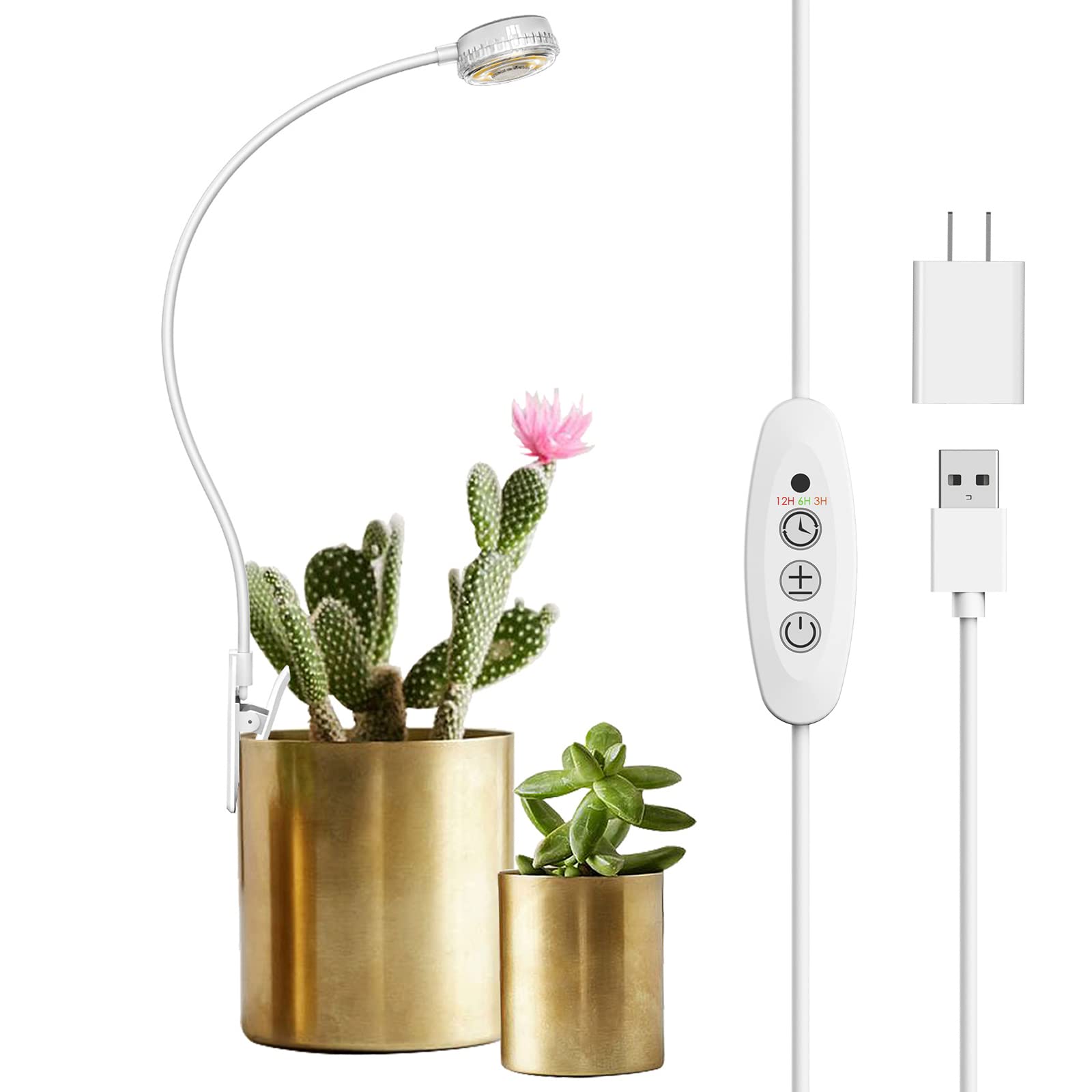 Sleek modern plant companion