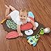 Skip Hop Hug-and-Hide Tummytime Playmat, Owl