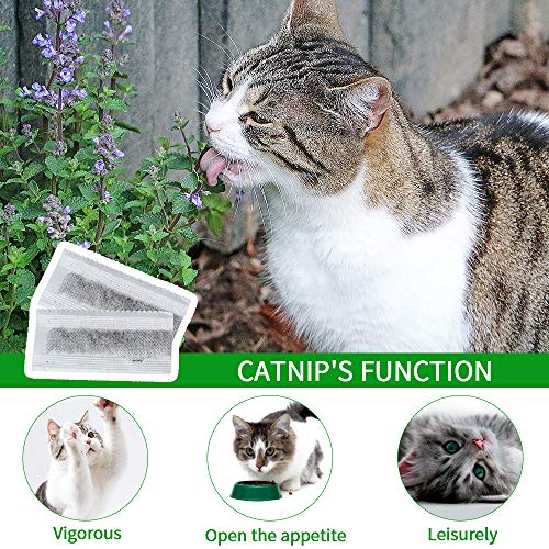RUCACIO Cat Toys Interactive Kitty Catnip Toys Cat Treat Toy Kitten Stuff Toothbrush Teeth Cleaning Chew Toy Lobster Shape Great Christmas Gifts100% Natural Rubber Bite Resistance