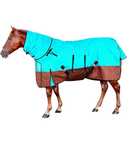 La couverture idéale pour vos chevaux : comment choisir selon leur taille