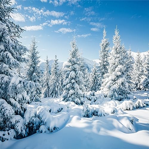 BELECO 2.5x2.5m Stoff Winter Schnee Wald Hintergrund weiß Weihnachtsbäume Winter Szene Alpen Fotografie Hintergrund für Weihnachten Neujahr Event Part