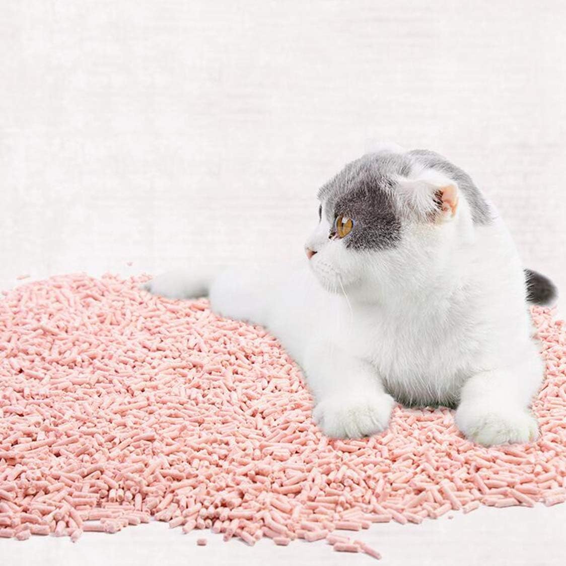 reject shop cat litter