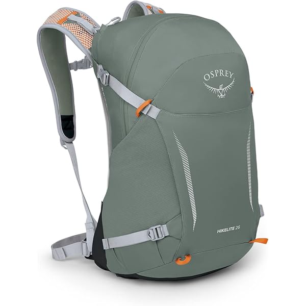 Amazon.com : Osprey Hikelite 18L Lightweight Hiking Backpack