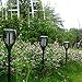 Solar Torch Lights Outdoor, 6-pack OxyLED Waterproof Flickering Flames Path Light Landscape Lighting, Dusk to Dawn Auto On/Off Light for Pathway Patio Driveway Halloween Christmas Lights Decorations