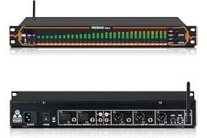 MICNAUX Equalizer for Home Stereo Audio System, Professional 31-Band Graphic Equalizer Rack Mount Music Digital EQ Studio Equ