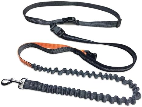 LAISSE Course perro, yonfan correa mano libre perro ...