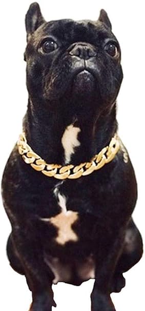 Amazon Co Jp ファッションフレンチブルドッグ犬猫首いじめプラスチック合成ゴールドチェーントルク小中型犬の首輪ペットネックレスアクセサリー 2パック 色 ゴールド ゴールドパーフェクト スポーツ アウトドア Amazon Co Jp ファッションフレンチブルドッグ犬猫首いじめプラスチック合成ゴールドチェーントルク小中型犬の首輪ペットネックレスアクセサリー 2パック 色 ゴールド ゴールドパーフェクト スポーツ アウトドア