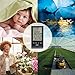 Indoor Humidity Monitor, Levin Hygrometer with Temperature, Digital Alarm Clock, Weatherprophet and Digital Calendar, Portable Size with Large LCD Screen Display