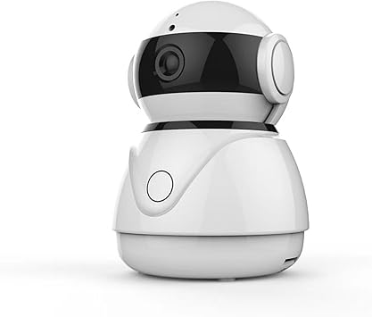google home robot