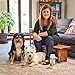Doggone Pet Products GO-2-FRESH Carpet Deodorizer, Odor Neutralizer