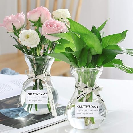 Amazon Co Jp ガラス 花瓶花器 ガラスベース 小 一輪挿し フラワーベース 2つセット 高級感 ミニ花器 ガラス製 透明 クリヤインテリア 水栽培 生け花 造花 おしゃれ シンプル インテリア雑貨 飾り瓶 北欧 レトロ風 ホーム キッチン