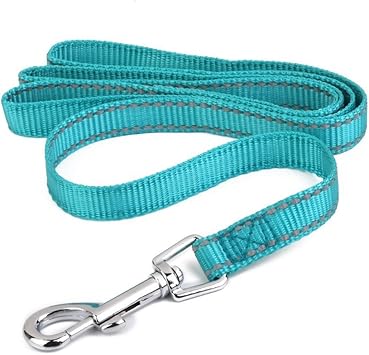 dog leads amazon