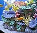 Instant Reef DM056 Artificial Coral Inserts Decor, Fake Coral Reef Decorations for Colorful Freshwater Fish Aquariums, Marine and Saltwater Fish Tanksthumb 4
