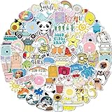 Water Bottle Stickers 100 Pcs Hydroflask Stickers
