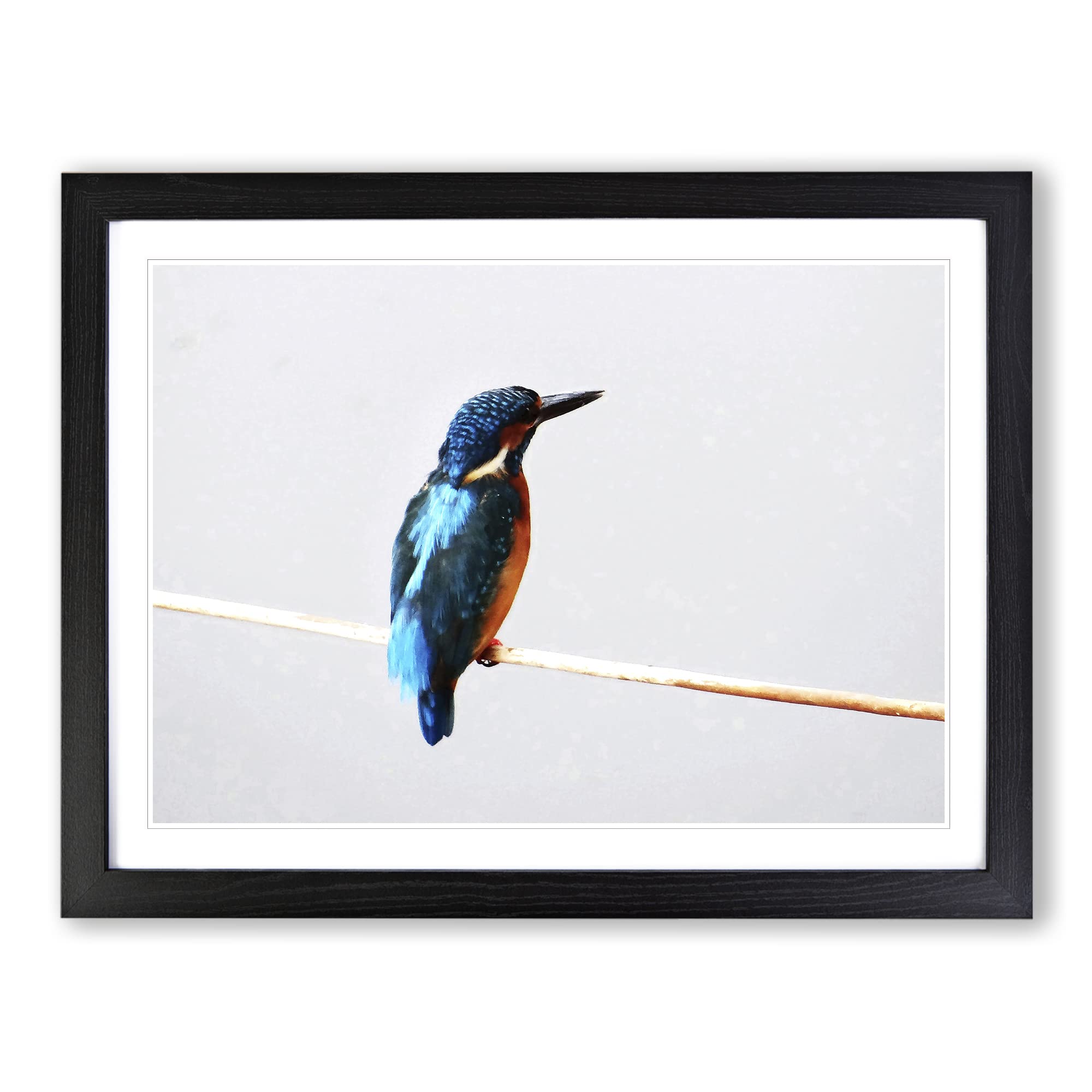 Kingfisher 2 Modern Framed Print | A4 Black Framed Wall Art | Ready to Hang | Modern Nature Picture | Living Room Bedroom Lounge Office
