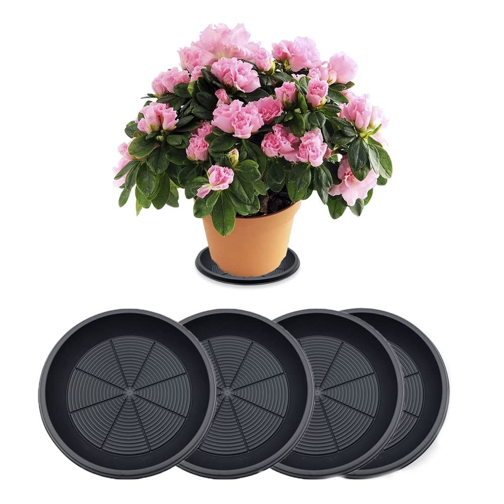 Kuvias Flowerpot Saucers – Pack of 4 – Collects Drainage & Dirt – Keeps your Home, Balcony & Garden Clean – For Use with Pots