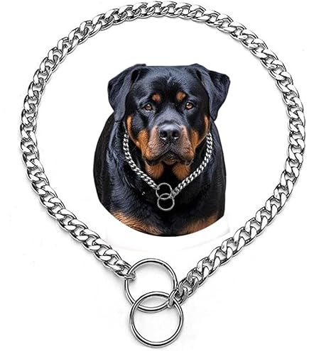 Amazon Heavy Duty Dog Chain Collar Large Dog Collar Heavy Duty Dog