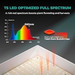 MARS HYDRO TSL2000 300W Led Grow Lights for Indoor
