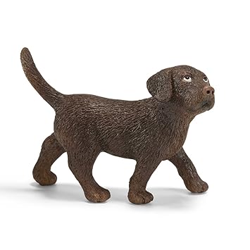 labrador puppy online