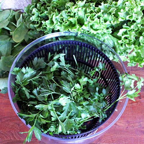 6 Totally+Honest+Food+Vegetable+Collapsible+Storage+Simple