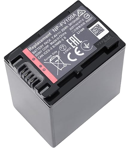 Amazon.com: BM Premium 2 Pack NP-FV100A High Capacity Batteries