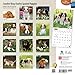 Cavalier King Charles Spaniel Puppies 2015 Calendar