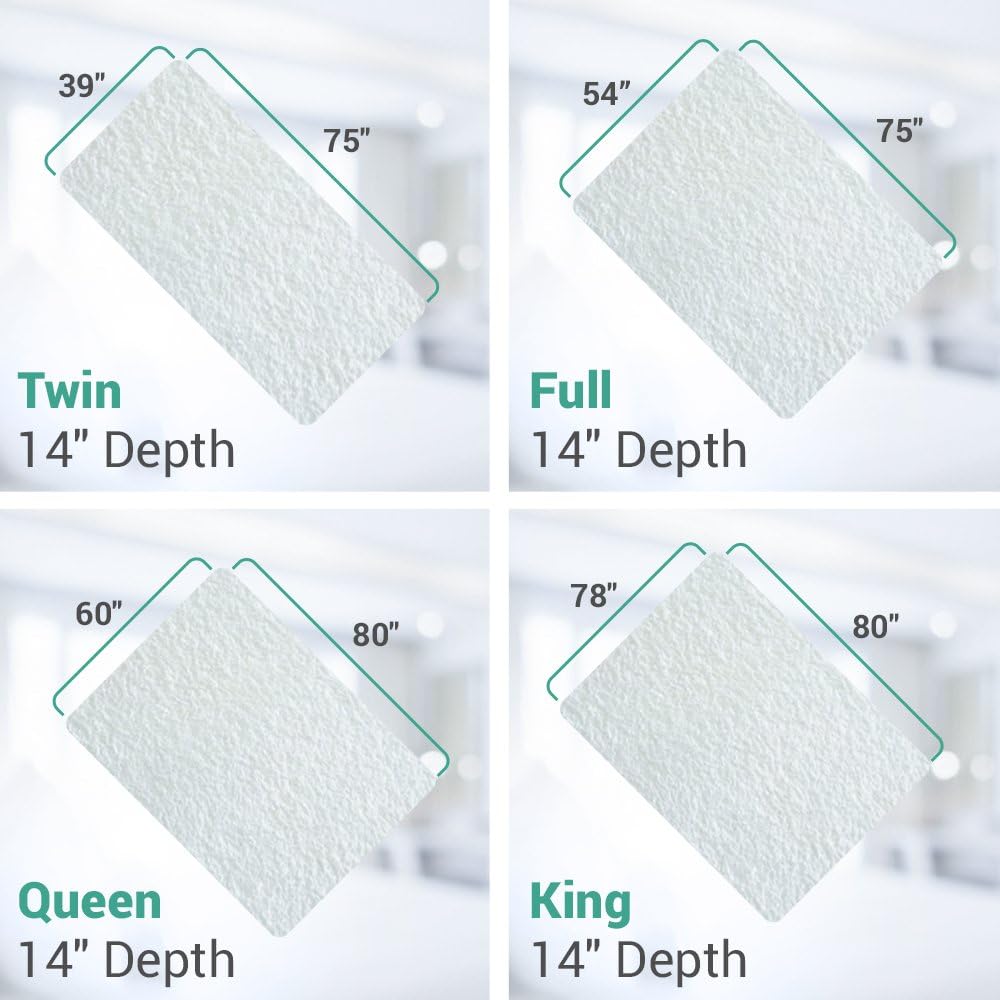 Ultimate Bed Bug Blocker Zippered Mattress Protector (Queen): Home & Kitchen