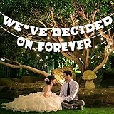 Unomor Wedding Party Decorations, Wedding Banner for Engagement Party Decorations