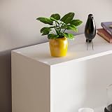 Vida Designs Cambridge 4 Tier Large Bookcase White Wood Shelving Unit view 4