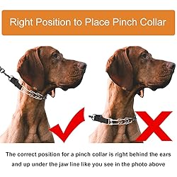 CBBPET Dog Prong Collar, Adjustable Dog Training