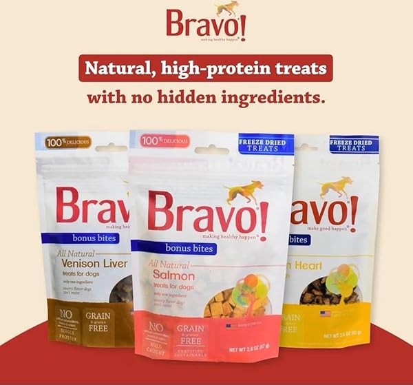 BRAVO! BONUS BITES SINGLE INGREDIENT FREEZE DRIED RAW DOG TREATS, SALMON, 2 OUNCE, HIGH PROTEIN, GRAIN FREE, GLUTEN FREE