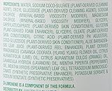 An Amazon Brand - Presto! Biobased Hand Soap, Lime Mint Scent (6 pack)