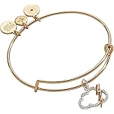Alex and Ani Pave Storm Cloud Bangle