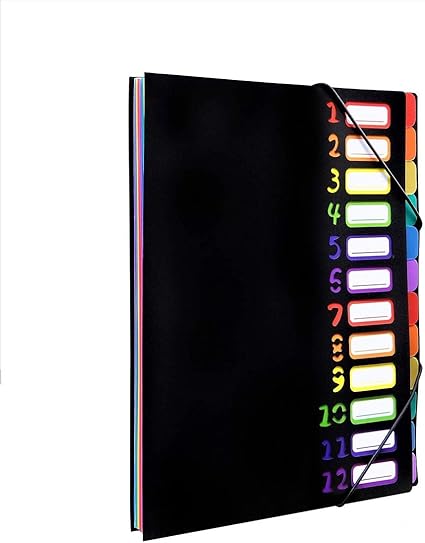 Amazon ドキュメントファイル 12ポケット ファイルケース カラフル 書類入れケース ポケットバッグ クリアファイル 収納 書類 整理 ファイル 文房具 12ポケット ドキュメントファイル 文房具 オフィス用品