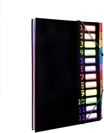 Amazon ドキュメントファイル 12ポケット ファイルケース カラフル 書類入れケース ポケットバッグ クリアファイル 収納 書類 整理 ファイル 文房具 12ポケット ドキュメントファイル 文房具 オフィス用品