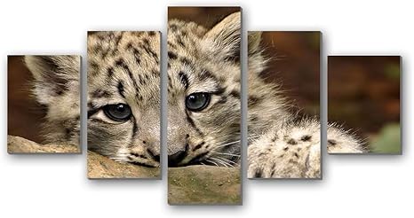 Amazon Co Jp かわいいユキヒョウ動物の写真 5枚 パネル アートパネル 現代壁の絵 壁掛け部屋飾り背景絵画 キャンバス写真 壁アートしゃしん 木枠付きの完成品 装飾 軽くて取り付けやすい 100cmx50cm ホーム キッチン