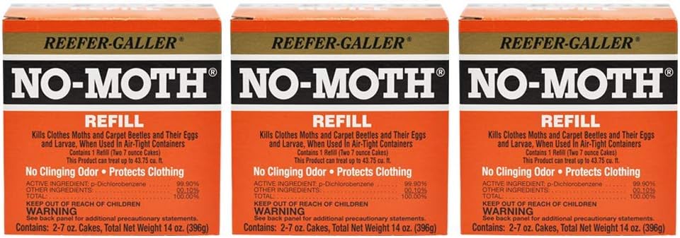 Best moth infestation in carpet