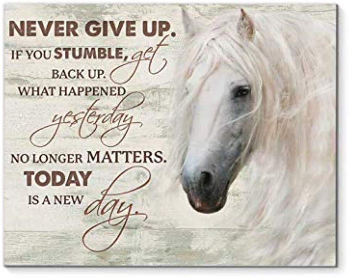 Never Give Up If You Stumble Get Back Up Canvas Artwork Art Canvas 0.75 Inch Print Size 8x12, 12x18,