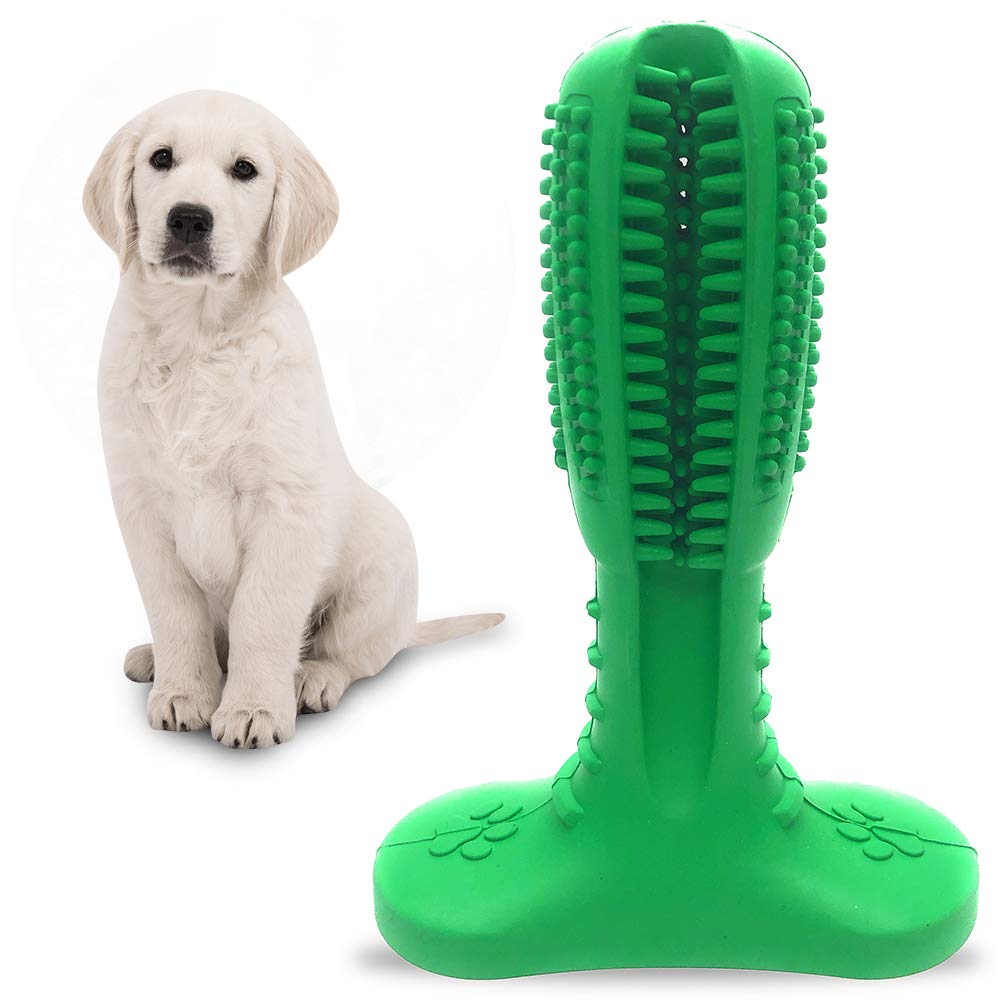 dog toys dental health
