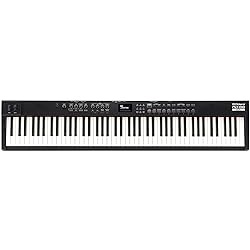 Roland RD-88 EX Stage Piano | 88-Note Keyboard with