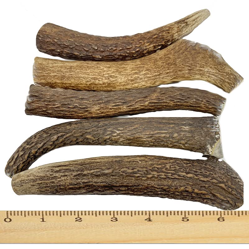 WhiteTail Naturals Premium Whole Elk Antlers for Dogs (1 Pound Pack