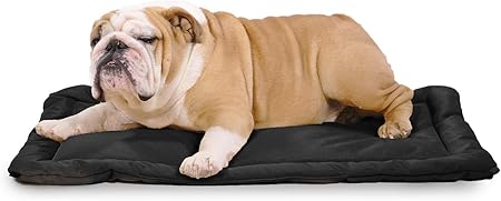 k9 ballistics dog bed canada