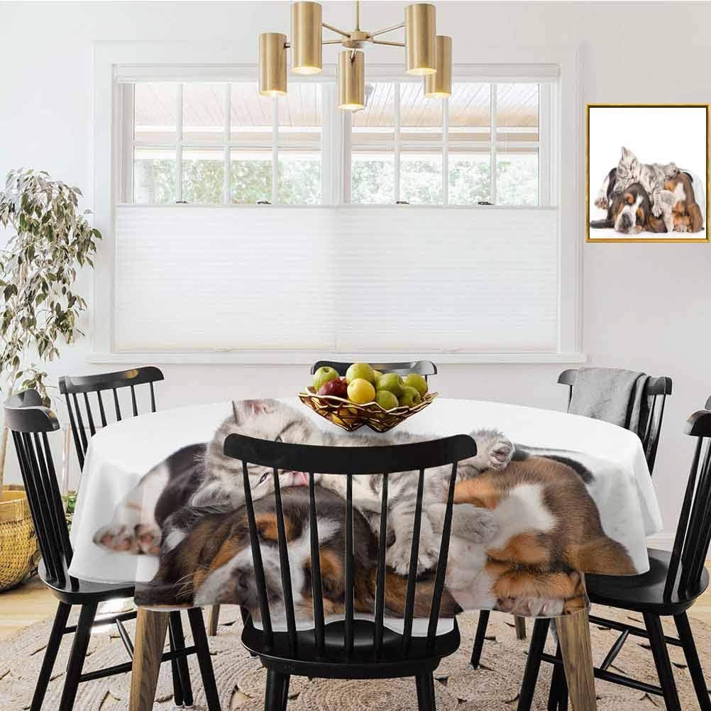 shirlyhome Funny Tablecloth Washable Newborn Kitten Lying on The Puppies Basset Hound and Licks Sleeping Cuddle Picture Dust-Proof Table Cover Multicolor (Diameter 70")