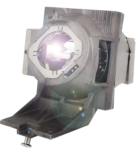 Ampoule De Rechange Avec Boîtier Pour Projecteur BenQ – Modèles HT2650i, TK700, W1800, MU607, Etc. – Pièce Lampe 5J.JHN05.001