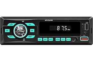 Car Radio Bluetooth Single DIN Car Stereo Audio, Car Audio with Dual Bluetooth and App Control,Supports FM/ MP3/SD/AUX/Dual U
