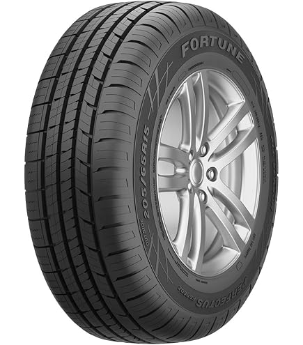 aretan Amazon.com: Nexen Roadian ATX 205/70R16 97H : Toys & Games