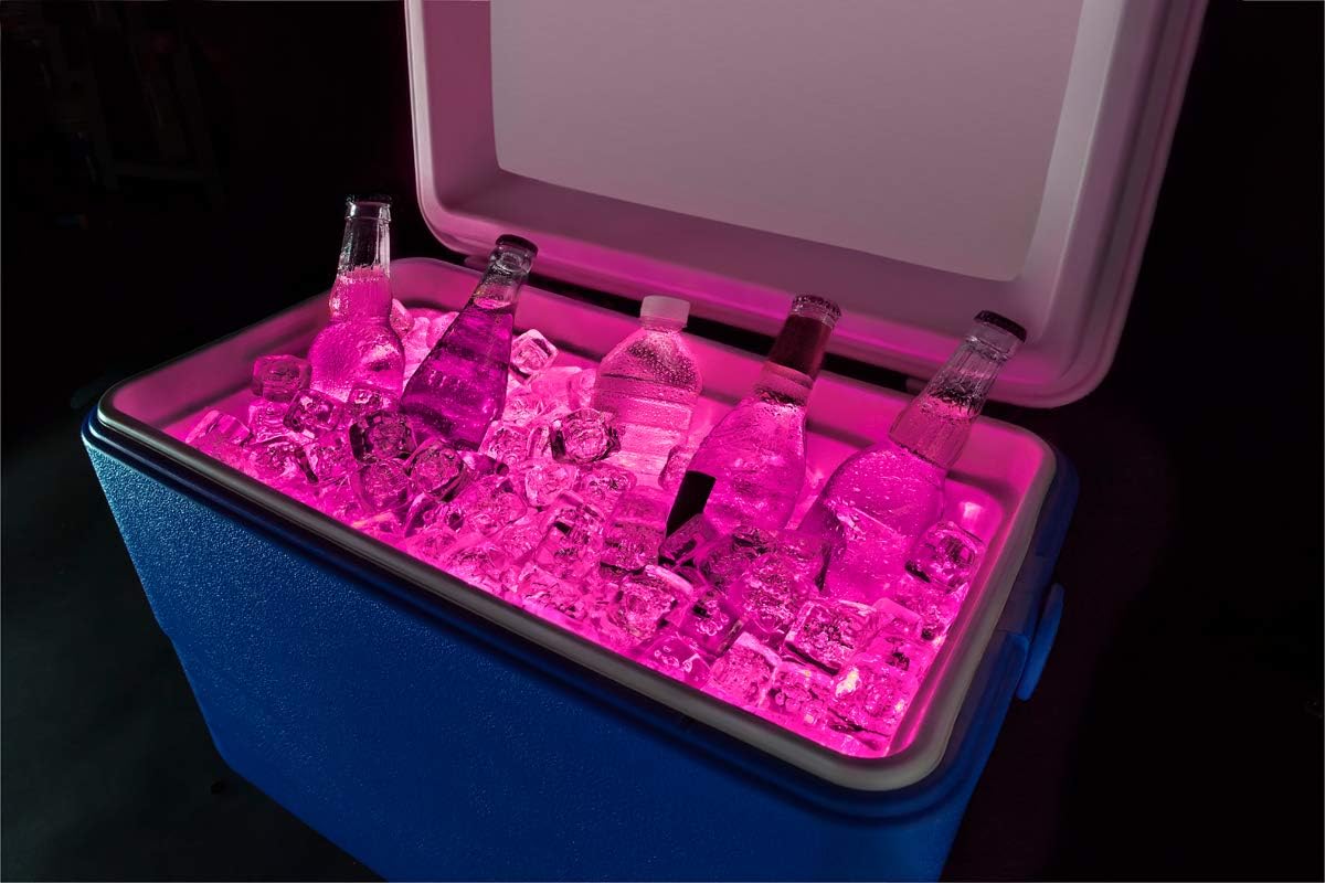 cooler with led lights