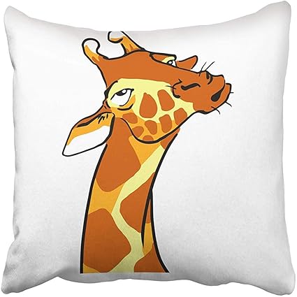 Amazoncom Throw Pillow Covers Decorative Cases Ignorant